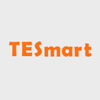 TESmart